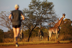 Travelling Fit - Big Five Marathon #travellingfit #runtheworld #bigfivemarathon