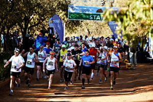 Travelling Fit - Big Five Marathon #travellingfit #runtheworld #bigfivemarathon