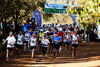 Travelling Fit - Big Five Marathon #travellingfit #runtheworld #bigfivemarathon