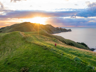 Dji 0033 Drone Damonmeade Crop