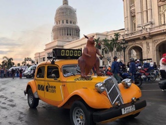 Havana Marathon 2025 Image 13