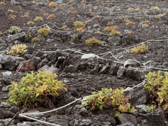 Processed With Vsco With A4 Preset