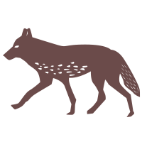 Mexico City Half Marathon Running Getaway Illustration Coyote